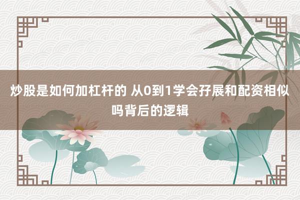 炒股是如何加杠杆的 从0到1学会孖展和配资相似吗背后的逻辑