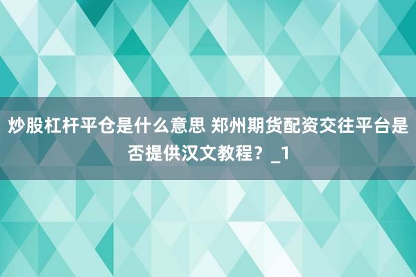 炒股杠杆平仓是什么意思 郑州期货配资交往平台是否提供汉文教程？_1
