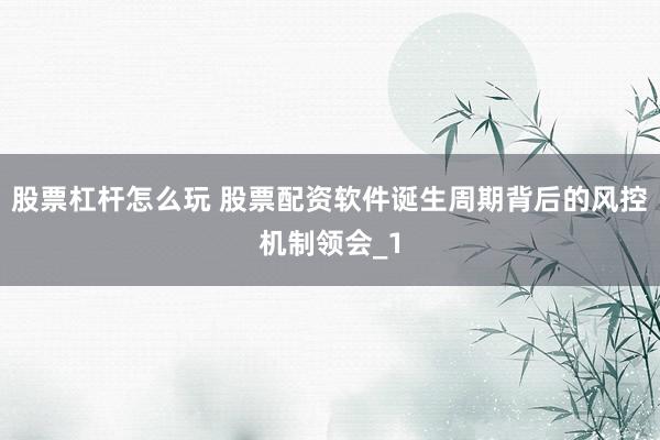 股票杠杆怎么玩 股票配资软件诞生周期背后的风控机制领会_1