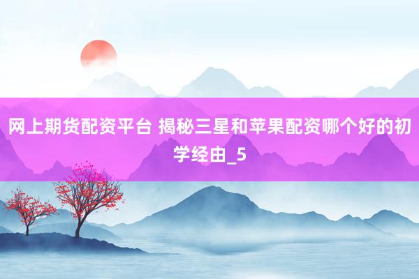 网上期货配资平台 揭秘三星和苹果配资哪个好的初学经由_5