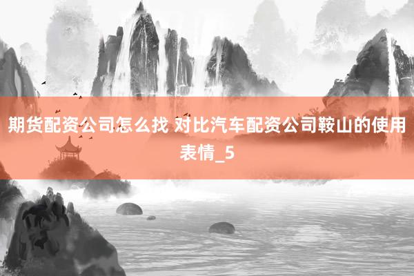 期货配资公司怎么找 对比汽车配资公司鞍山的使用表情_5
