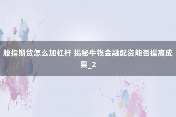 股指期货怎么加杠杆 揭秘牛钱金融配资能否提高成果_2