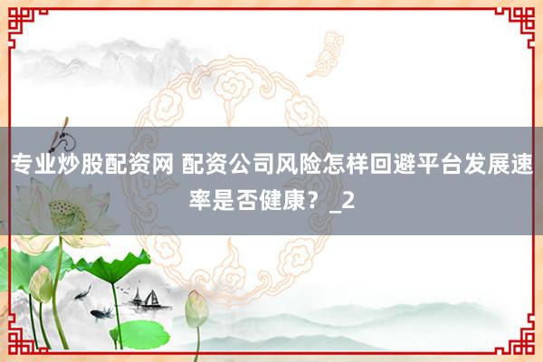 专业炒股配资网 配资公司风险怎样回避平台发展速率是否健康？_2