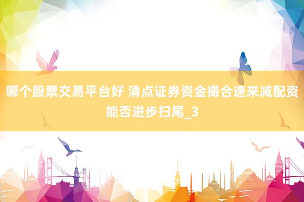 哪个股票交易平台好 清点证券资金撮合速来减配资能否进步扫尾_3